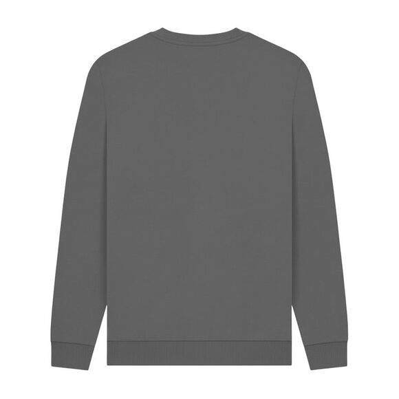 Wallace and Gromit Unisex Adult Evil Genius Feathers McGraw Sweatshirt / Slate G